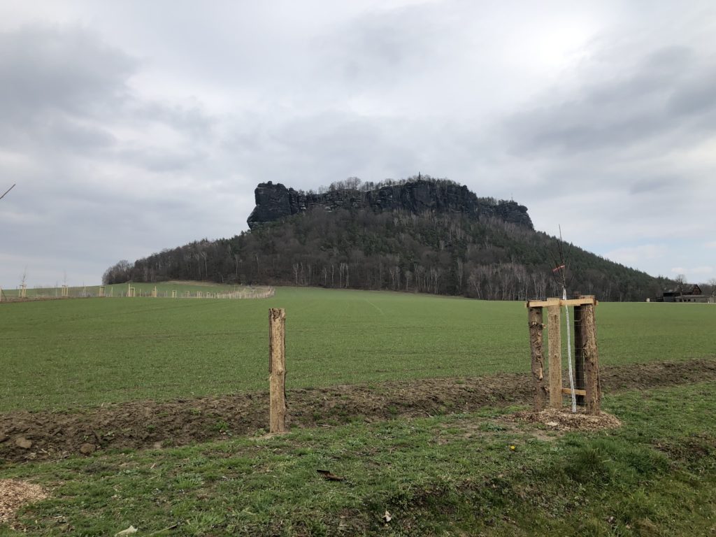 Lilienstein