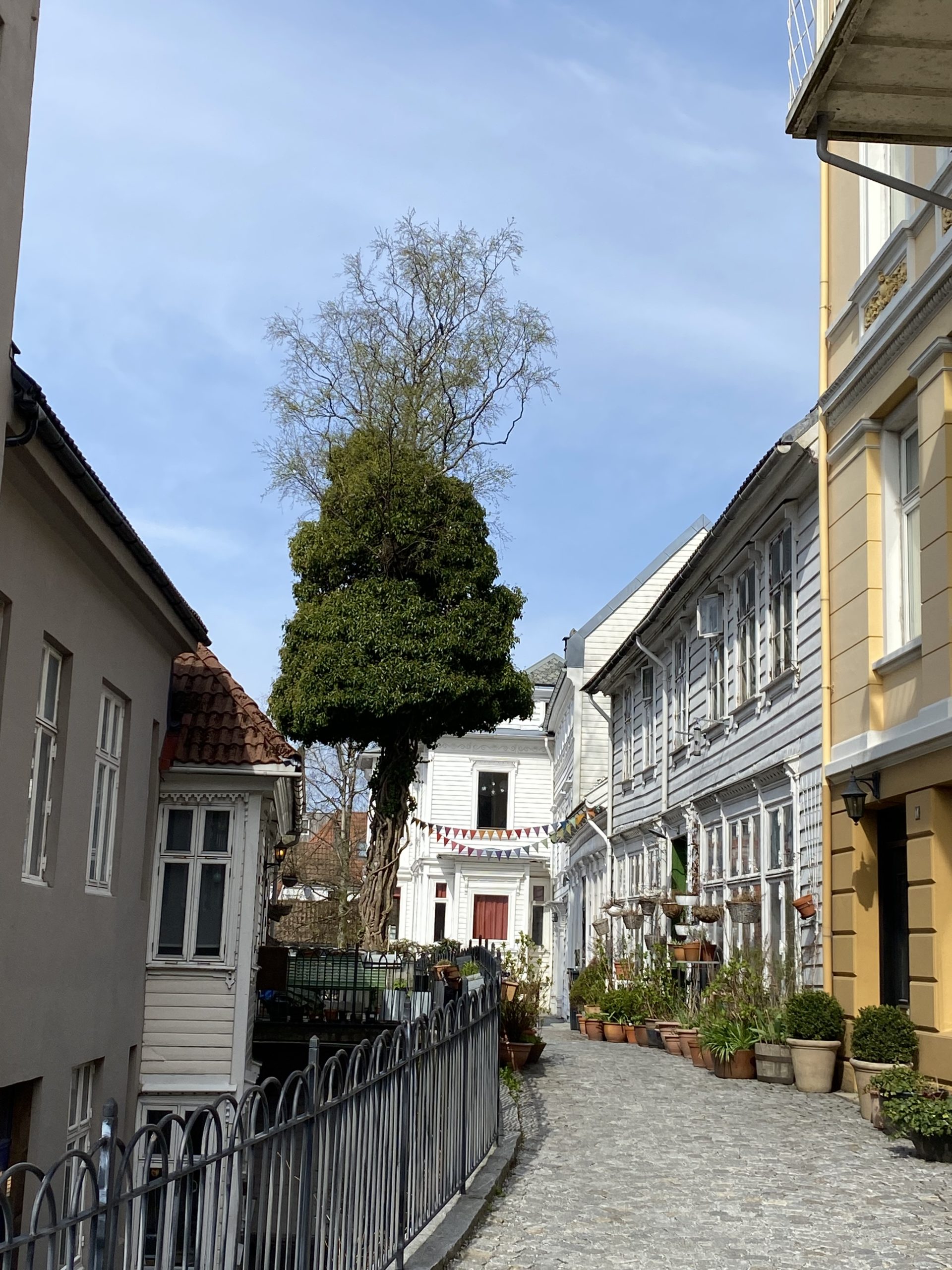 Bergen