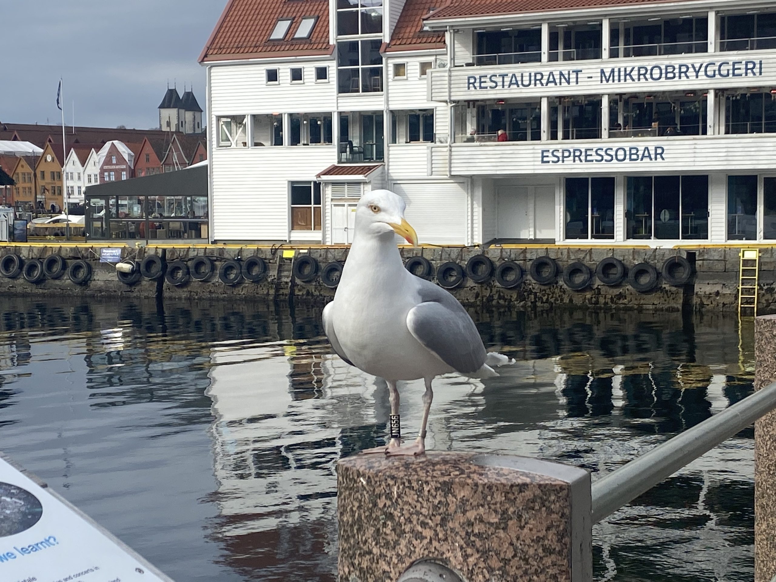 Bergen