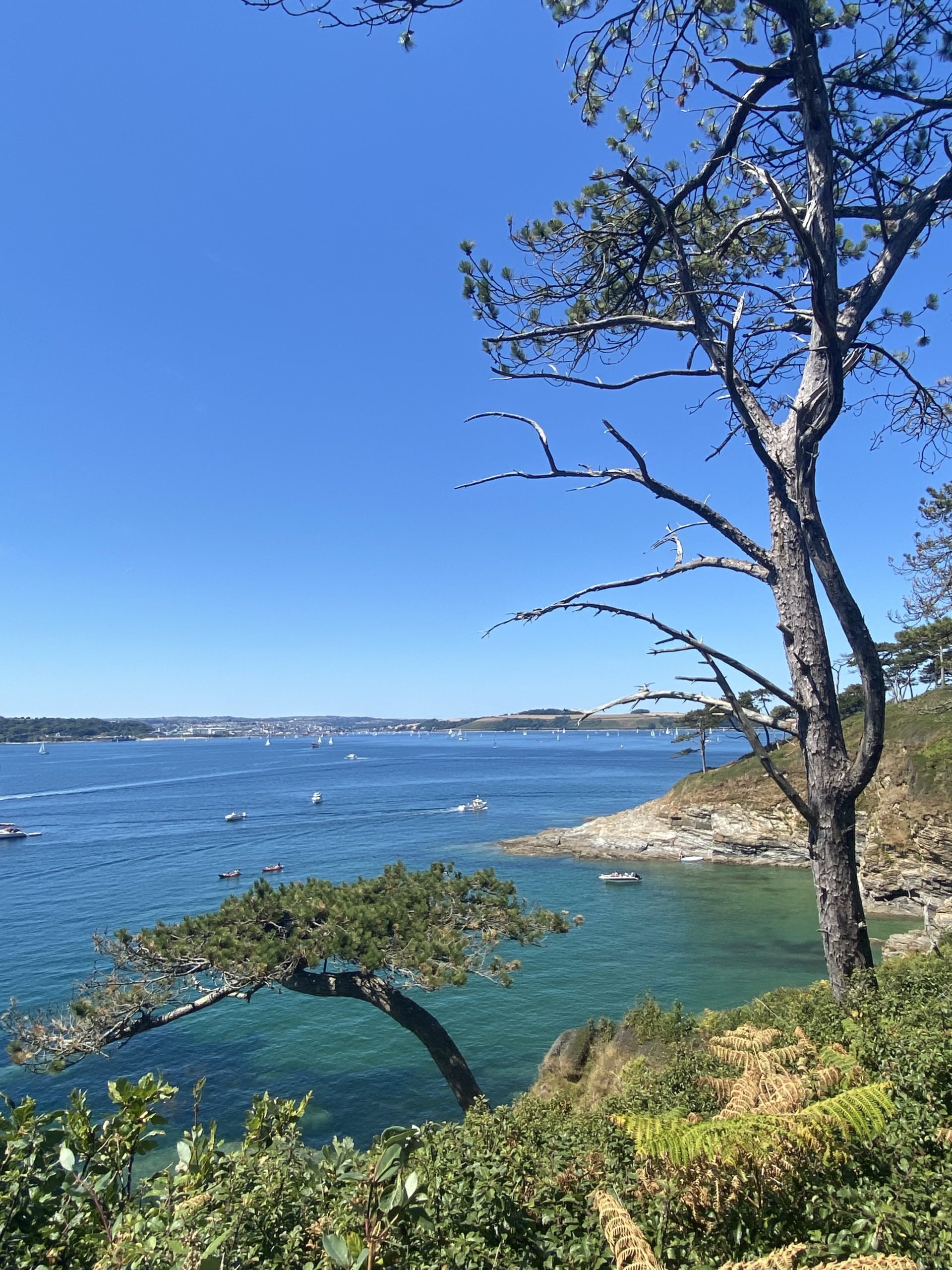 Roseland Heritage Coast