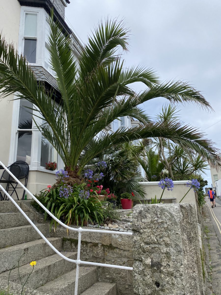 Rund um Penwith im Südwesten von Cornwall by LovelySandra