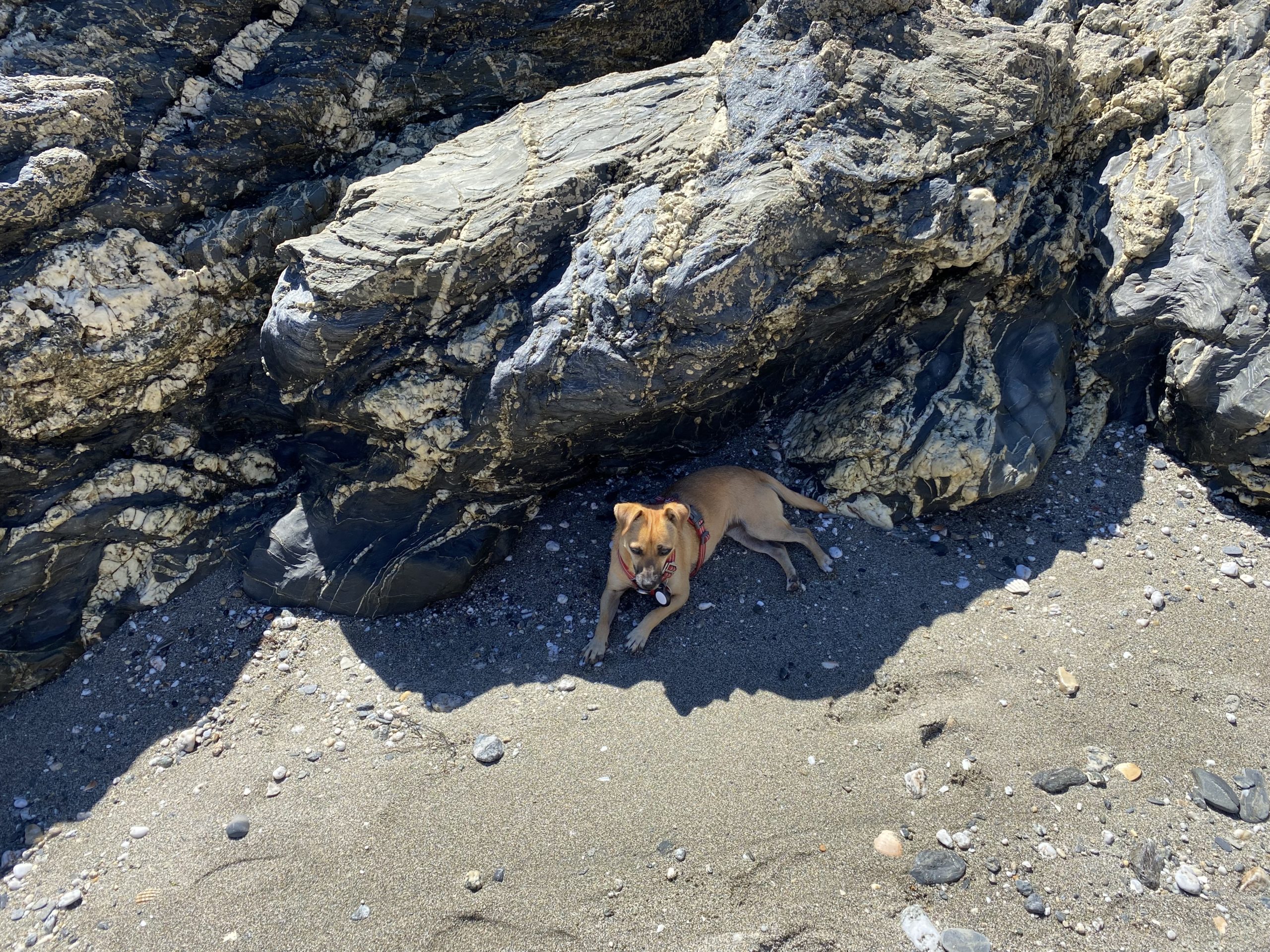 Roseland Heritage Coast