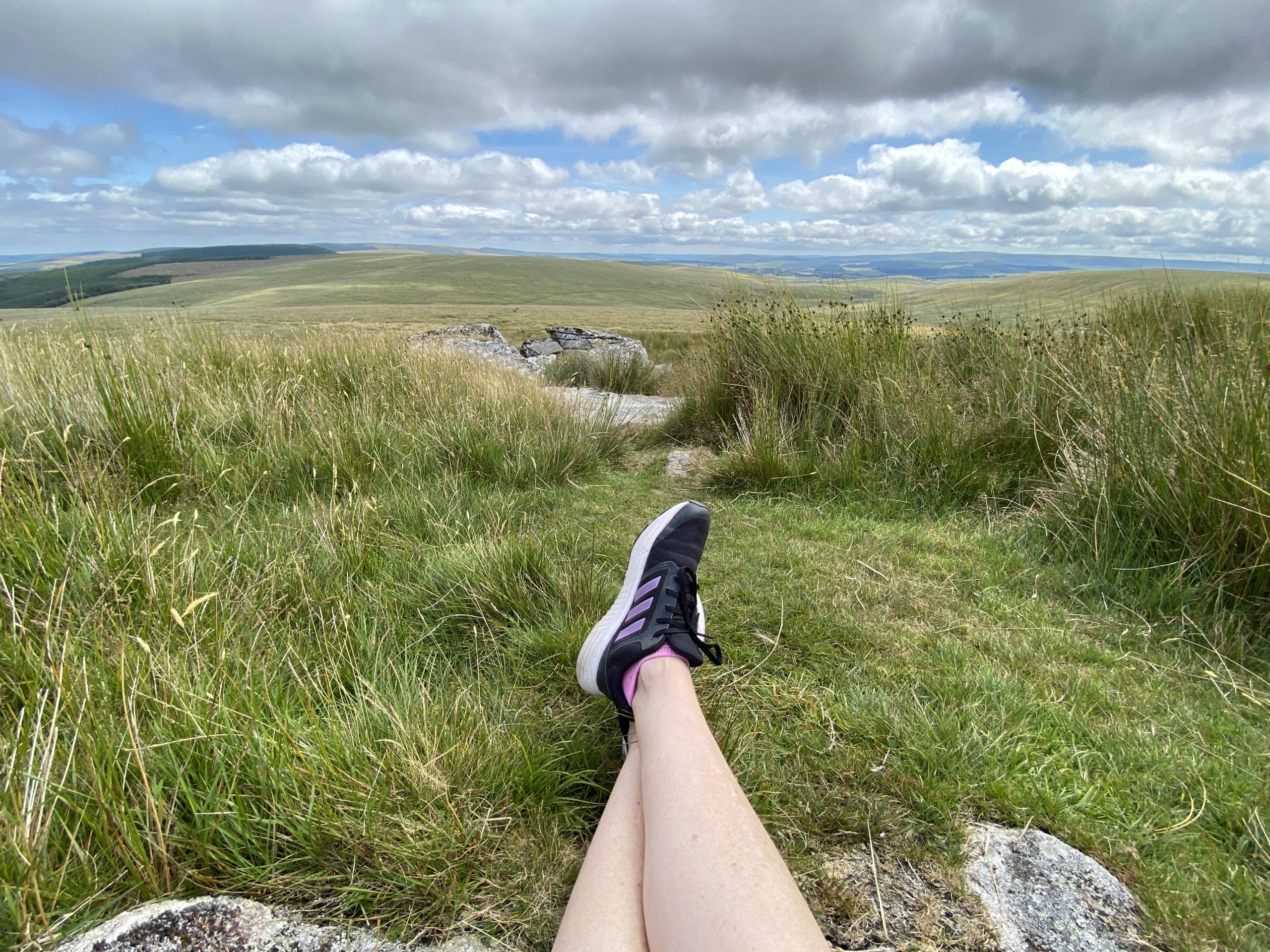 Im Dartmoor Nationalpark by LovelySandra