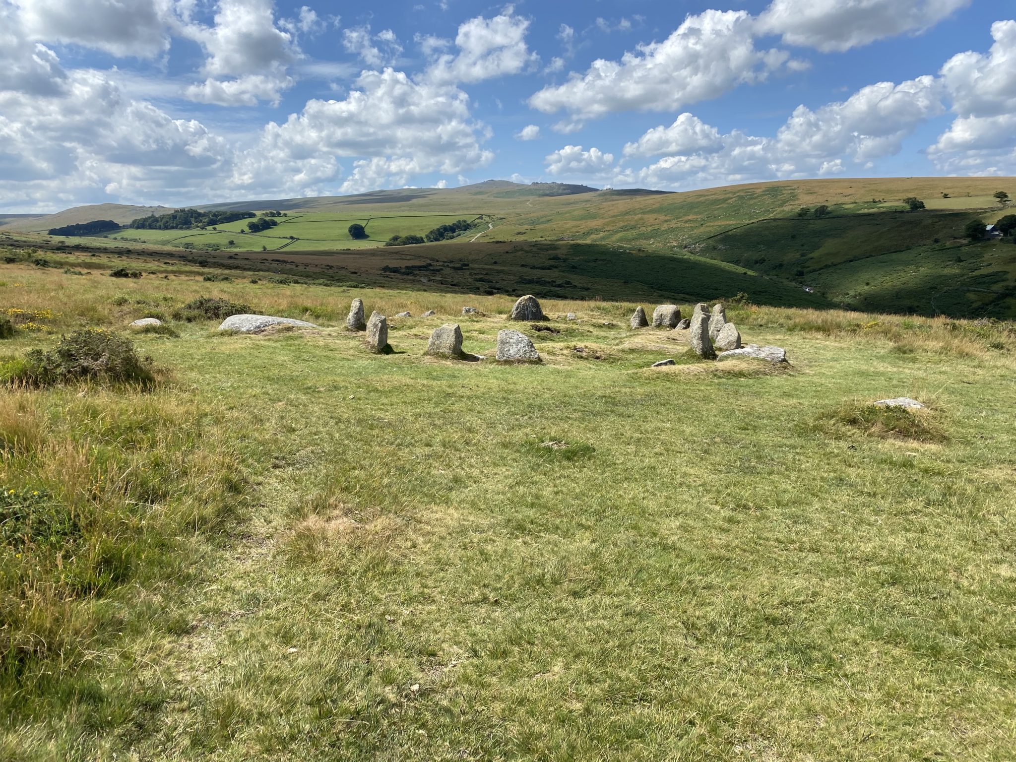 Im Dartmoor Nationalpark by LovelySandra