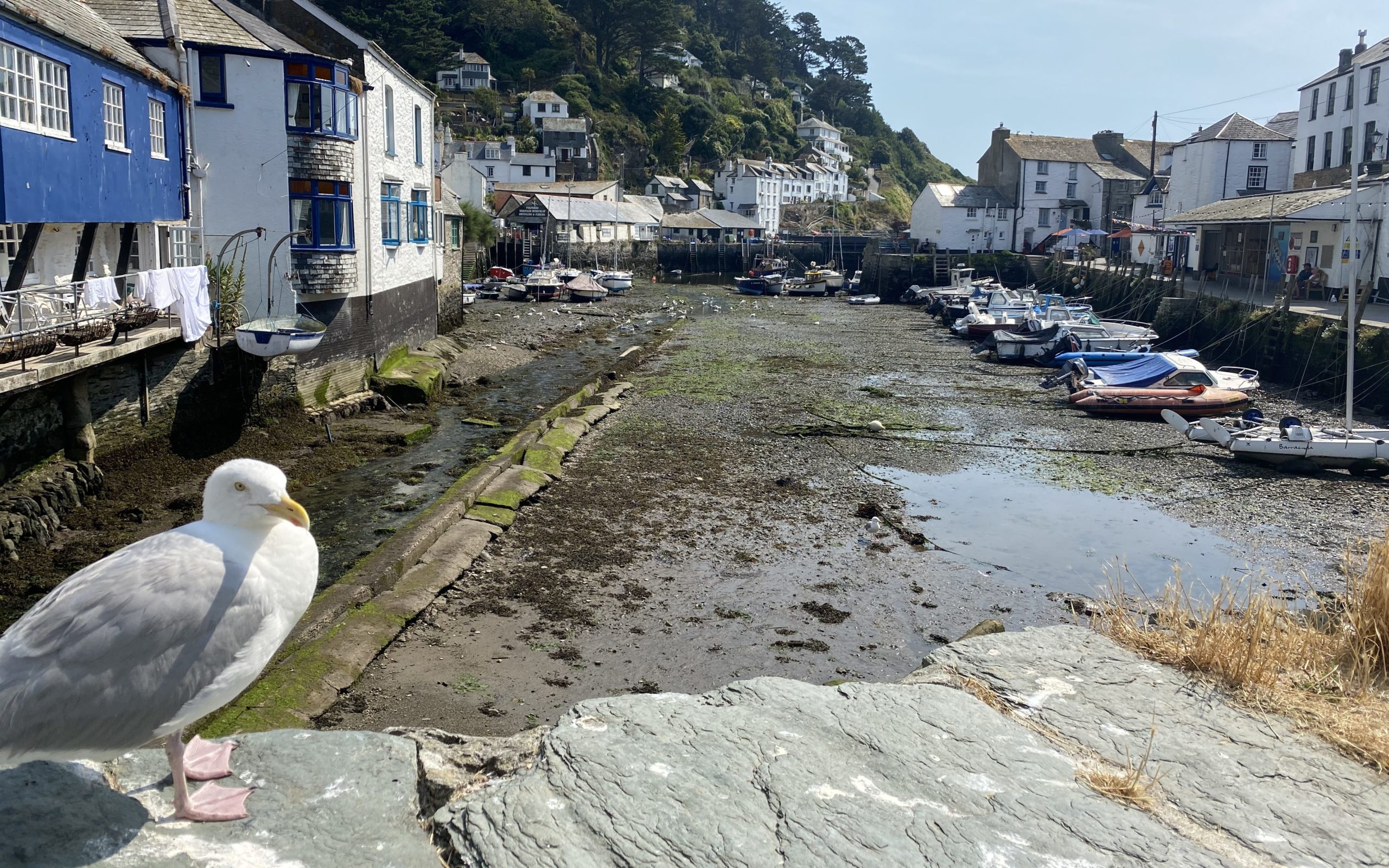 Polperro