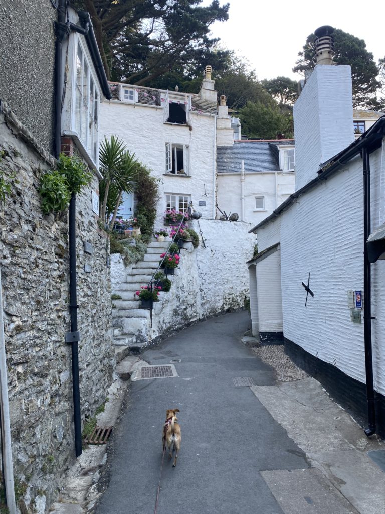 Polperro