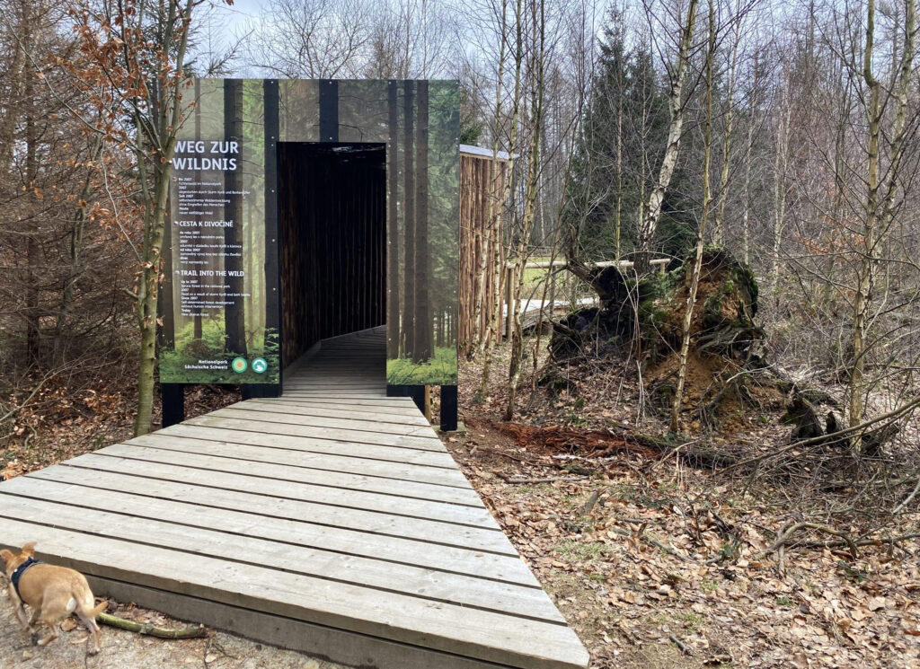 Weg zur Wildnis