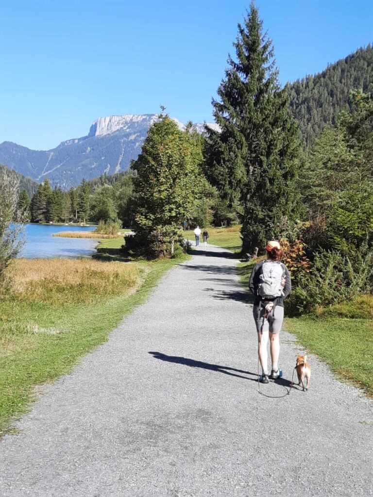 Pillersee nahe Waidring