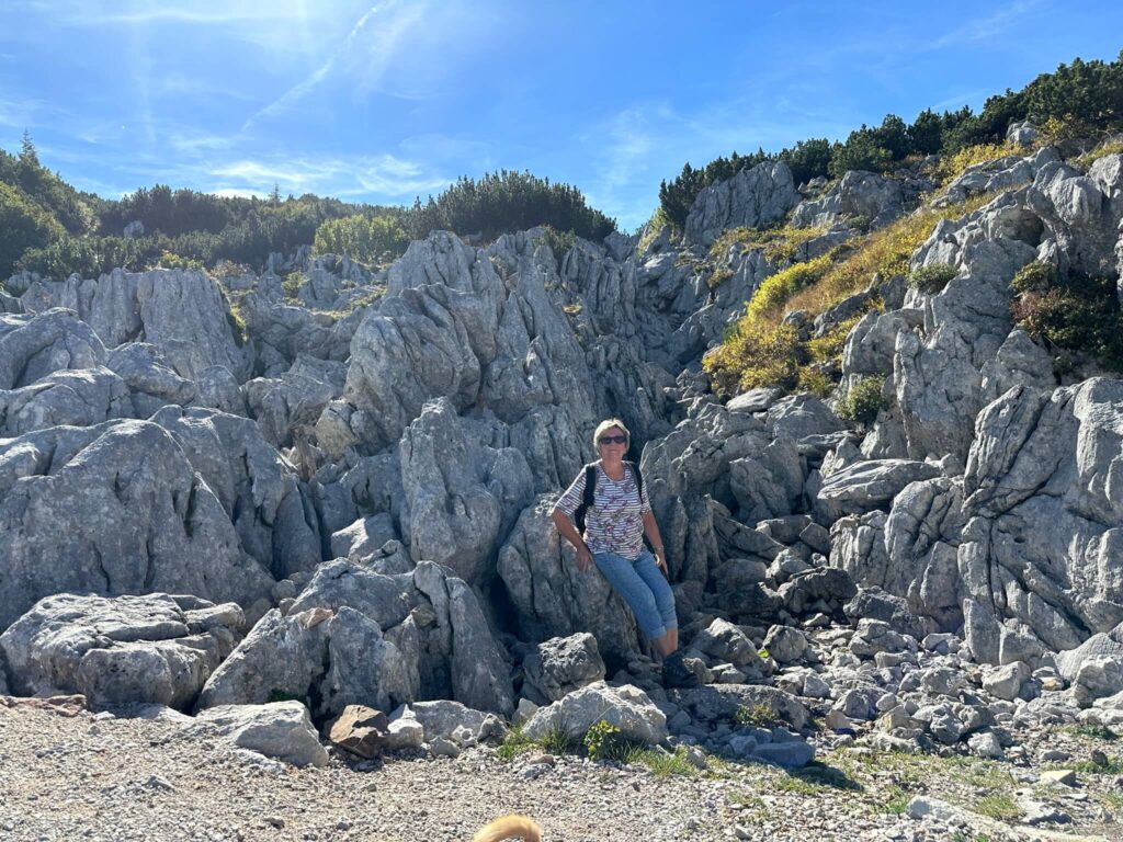 Korallen-Garten auf der Steinplatte