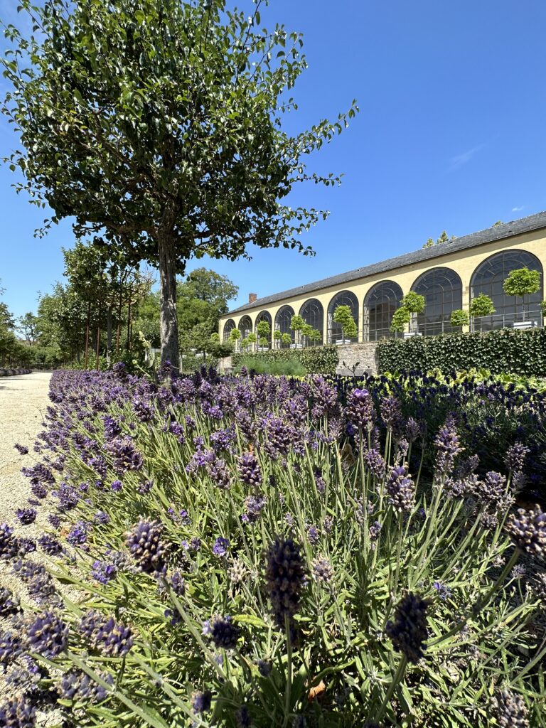 Residenz Würzburg