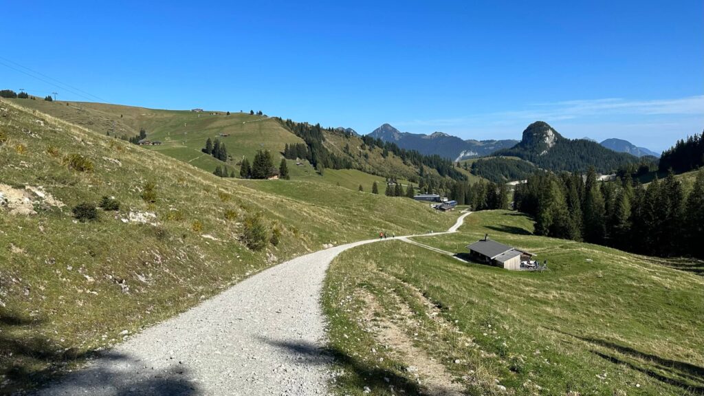 Loferer Almenwelt nahe Waidring